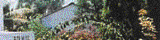 Web Based Application